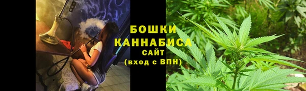 ешки Богданович